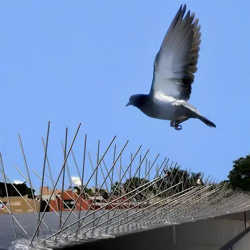 Anti Bird Spikes in LB Nagar and Uppal