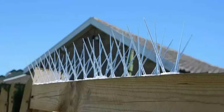 Premium Bird Spikes for Pigeons