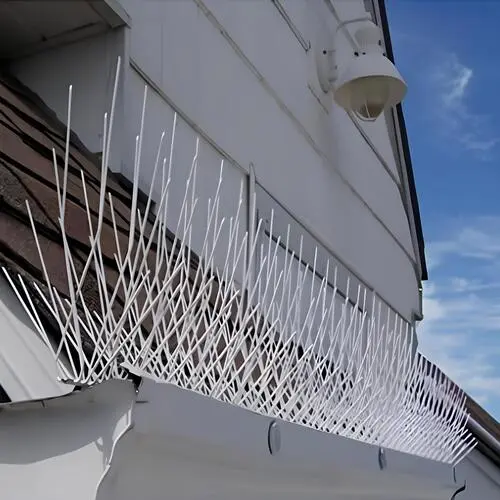 Quality Bird Spikes for Pigeons