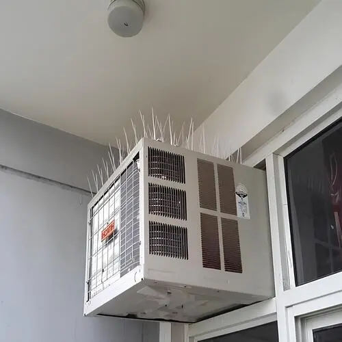 Quality Bird Spikes in LB Nagar and Uppal