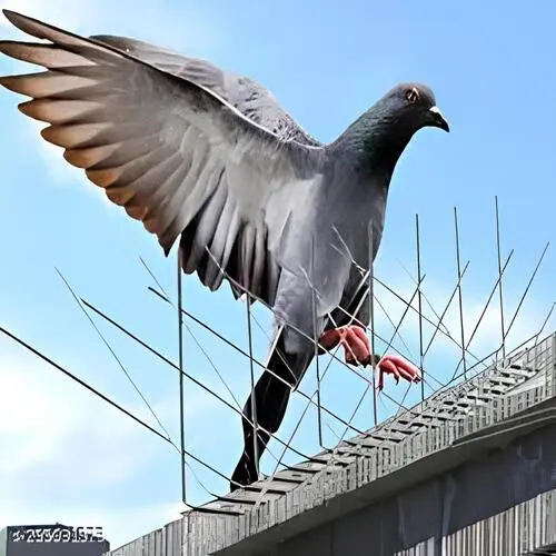 Top Quality Bird Spikes for Pigeons